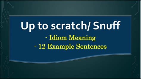 scratch test in a sentence|scratch meaning in text.